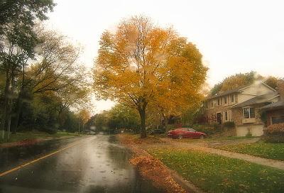 Escenas de un día lluvioso
