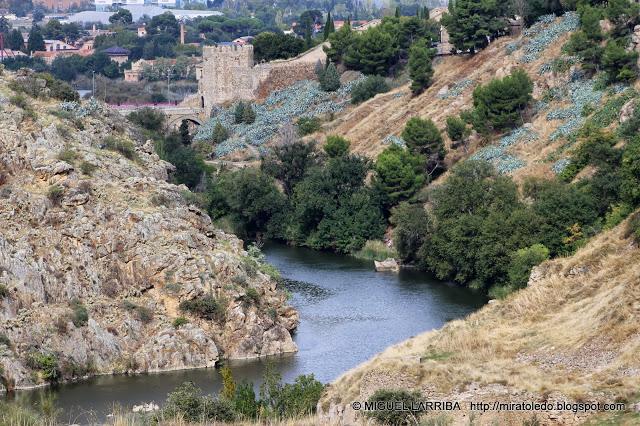 Ciudad levantada en el aire