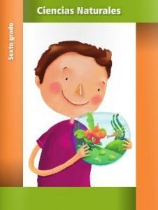 Libros de sexto grado gratuitos 2013-2014 ciencias naturales 6