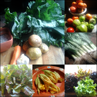 CALDO DE BERZA  Y TORTILLA DE  PATATA  ---CUMPLIENDO PETICIONES  Y LA COSECHA DE ESTE AÑO DE MI HUERTA ........