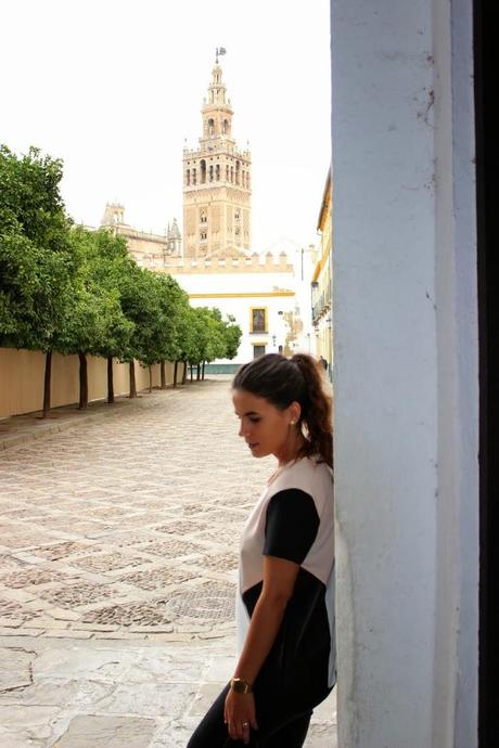 W.I.W: geometry for a walk W.I.W: geometry for a walk