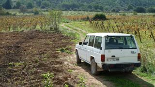 Finca Viladellops