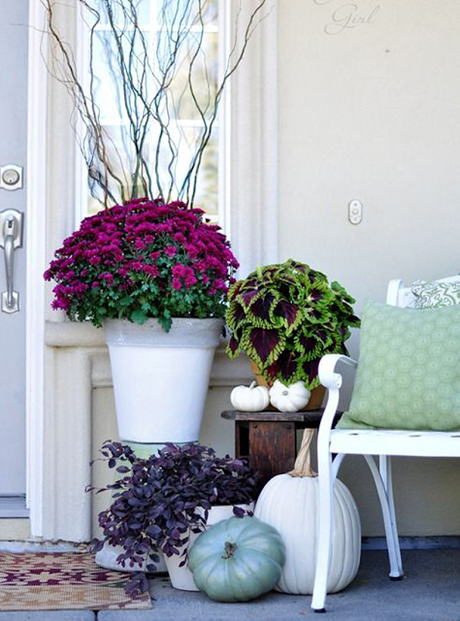 Otoño: Decorando con calabazas