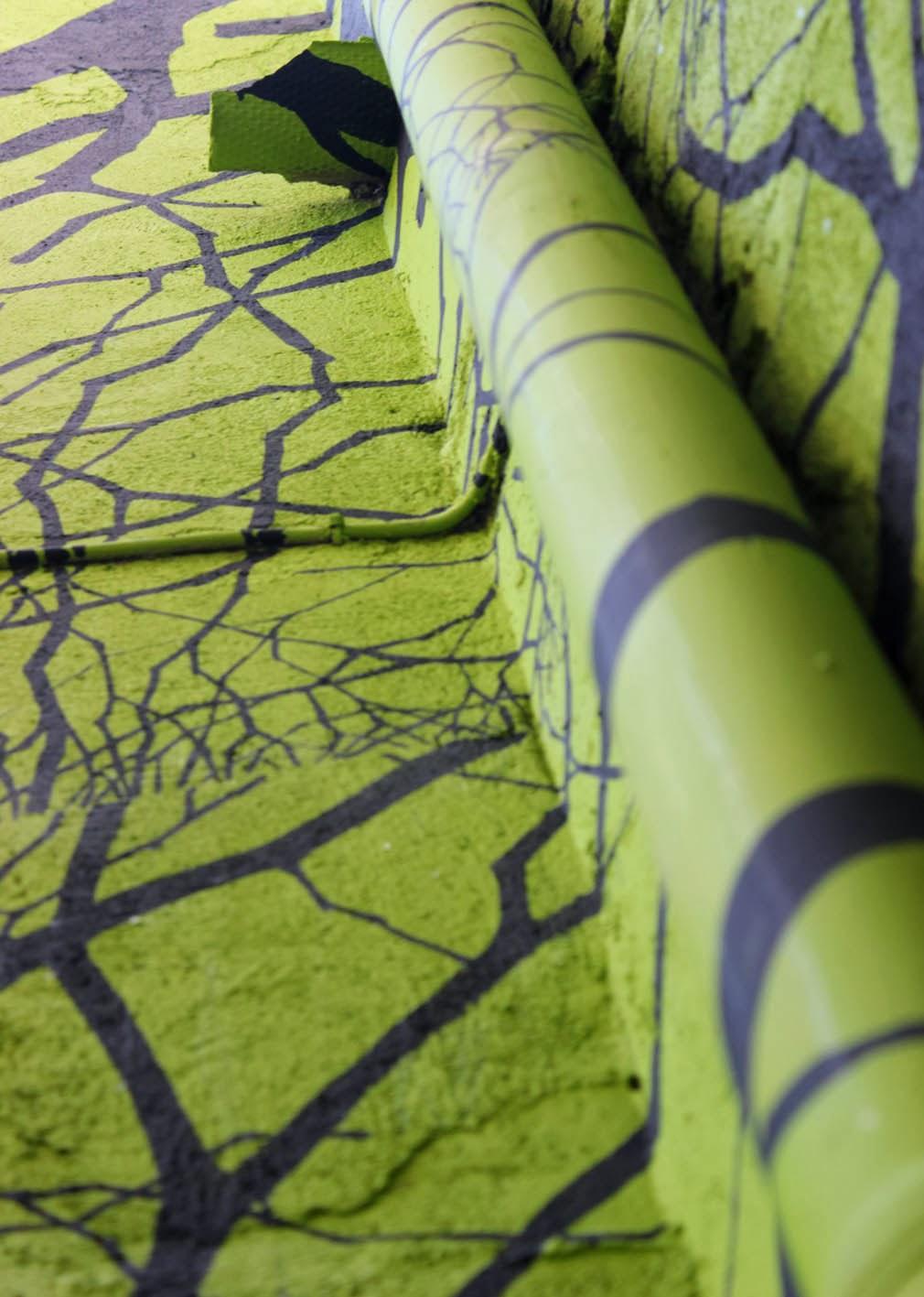 La salamandra (Camino de los prodigios)