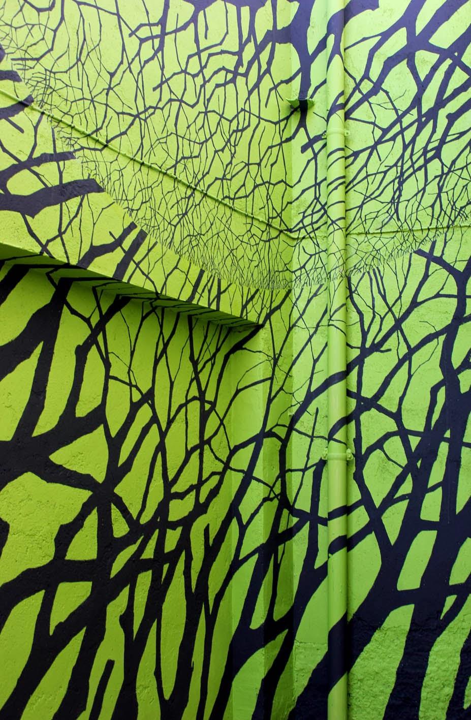 La salamandra (Camino de los prodigios)