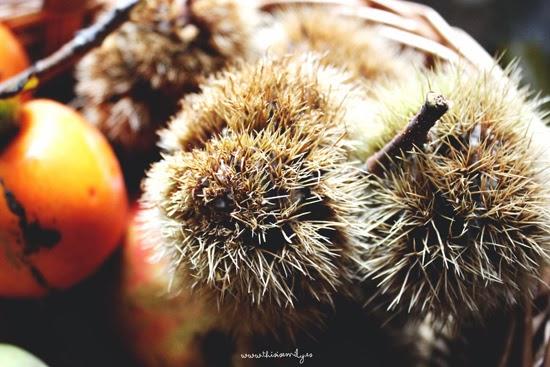 Frutos secos y carnosos del otoño