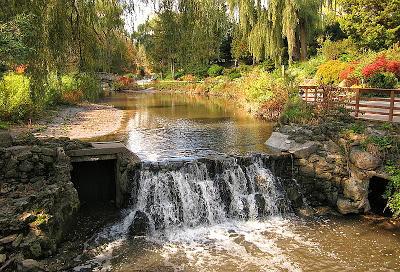 En el Toronto Botanical Garden