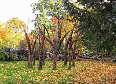 En el Toronto Botanical Garden