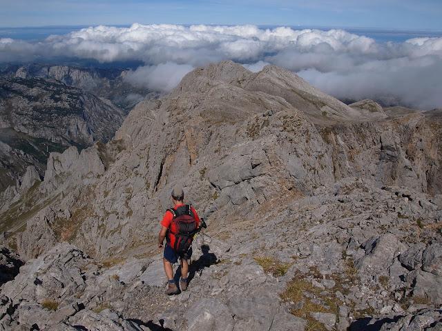 circular al valdominguero