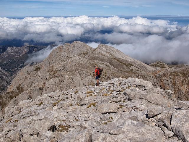 circular al valdominguero