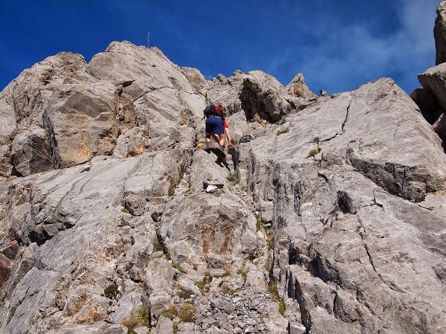 circular al valdominguero