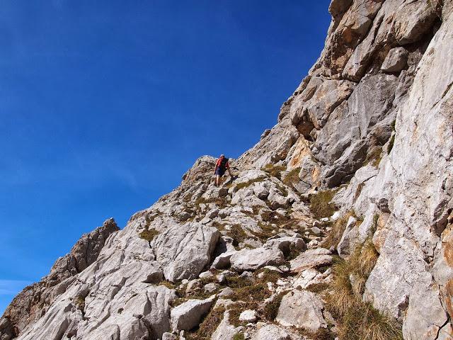 circular al valdominguero