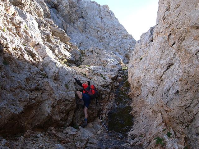 circular al valdominguero