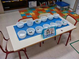 RINCÓN DE LOS EXPERIMENTOS: MAGNETISMO