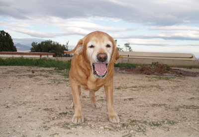 Por una mayor autogestión de la medicina