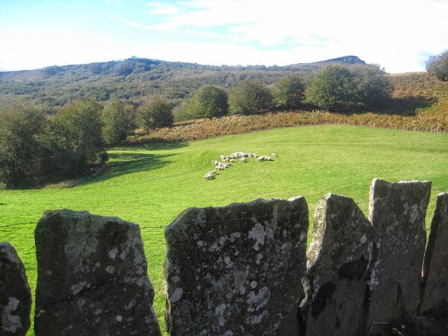 Un paseo otoñal....
