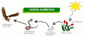 ¿QUÉ ES UN ECOSISTEMA?