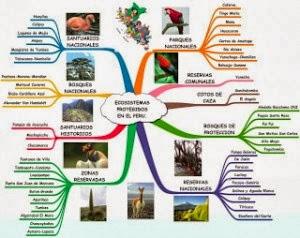¿QUÉ ES UN ECOSISTEMA?