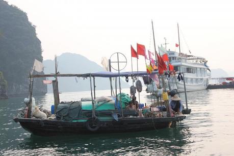  photo IMG_5811_zpse44e44ef.jpg