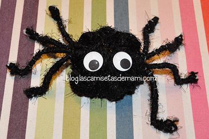 spider wool