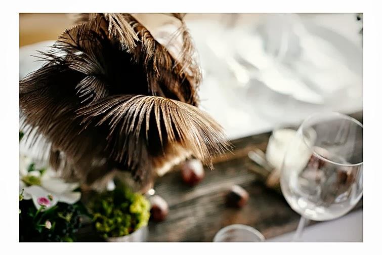 Os gustan las castañas? Centros low-cost!