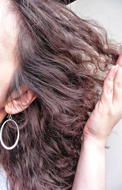 Fracasos potinguiles IV