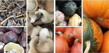 Mercado Ecológico en Praga