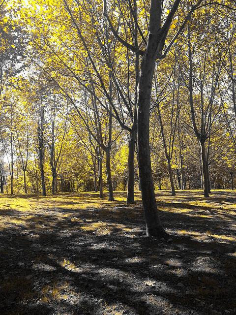 Androidografia Barakaldo 1541