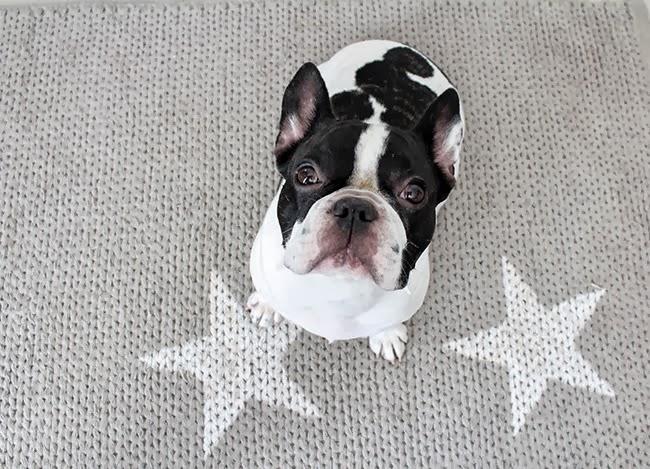 DIY: Cómo pintar una alfombra de estrellas . Video tutorial