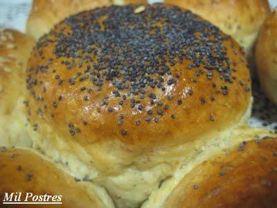 Flor de pan de semillas y AIG 2013