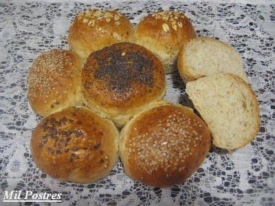 Flor de pan de semillas y AIG 2013