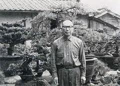 El pino de Yamaki, 400 años de bonsai antinuclear