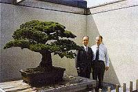 El pino de Yamaki, 400 años de bonsai antinuclear