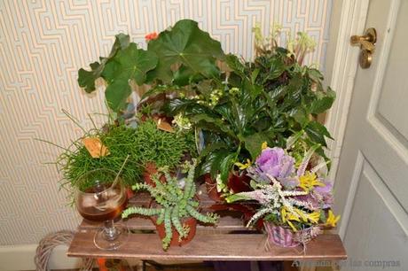 DESAYUNO EN POMME CUITE