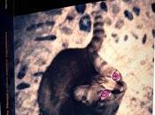 Posada Vientos, Rocío Juan Romero