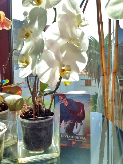 El viaje de Pau en Gran Canaria