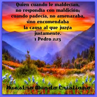 Reacciones poco sabias a la crítica