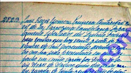 Analizando el acta mentirosa de Tibisay Lucena