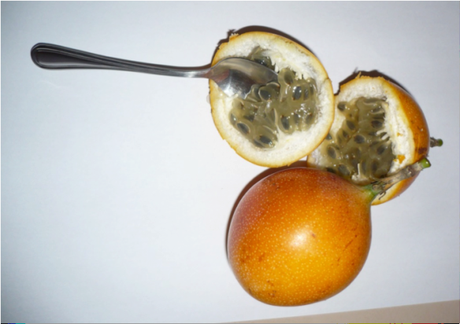 Granadilla