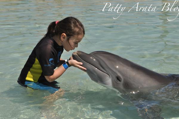 Nuestra experiencia con los delfines - Perú protégelos!!