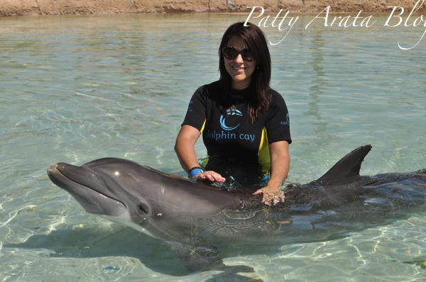 Nuestra experiencia con los delfines - Perú protégelos!!