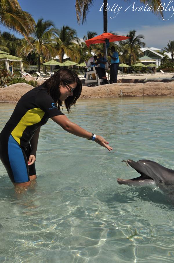 Nuestra experiencia con los delfines - Perú protégelos!!