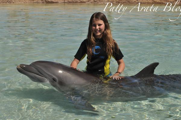 Nuestra experiencia con los delfines - Perú protégelos!!