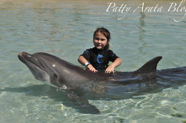 Nuestra experiencia con los delfines - Perú protégelos!!