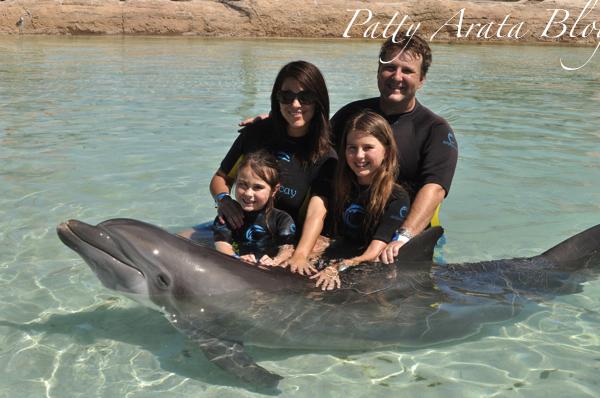 Nuestra experiencia con los delfines - Perú protégelos!!