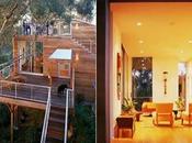 Quedamos casa árbol