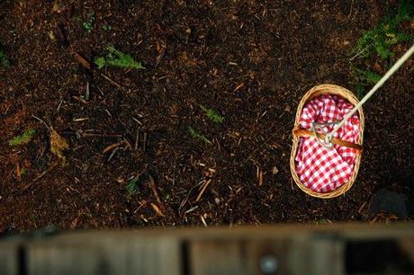 quedamos en la casa del árbol