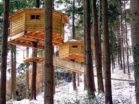 quedamos en la casa del árbol