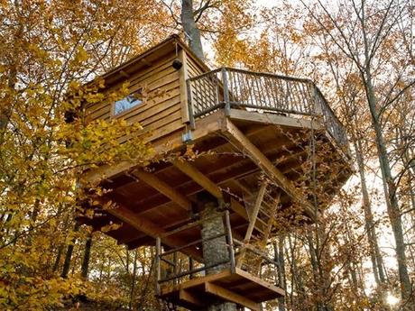 quedamos en la casa del árbol