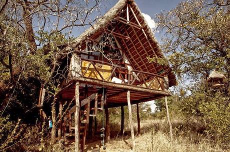 Quedamos en... La casa del árbol